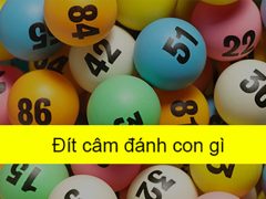 Đít câm nên đánh con gì?